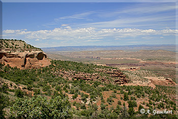 Black Ridge Canyons Wilderness